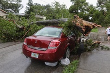 Суд принял решение о возмещении ущерба, причиненного автомобилю падением дерева