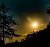 Thumb_63