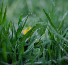 Дополнительная правовая помощь оказана: подготовлен иск о признании права собственности в порядке приобретательной давности