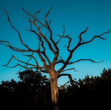 Помощь в рамках проекта: подготовлены уточненное исковое заявление и возражения на отзыв ответчика