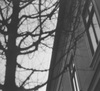 Thumb_329