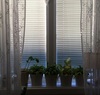 Thumb_347